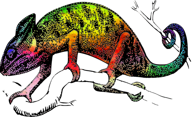 lizard-1503558_640