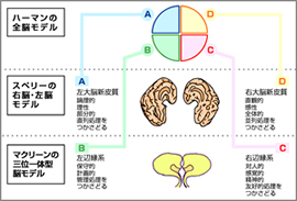 効き脳診断（ハーマンモデル）